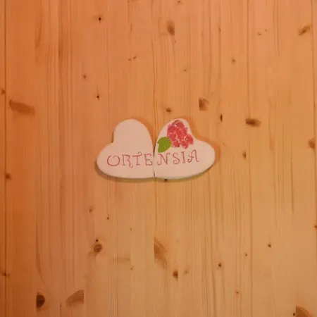 2 Cuori E Un 3*